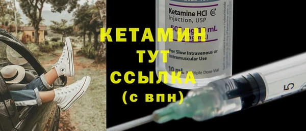 дмт Бородино