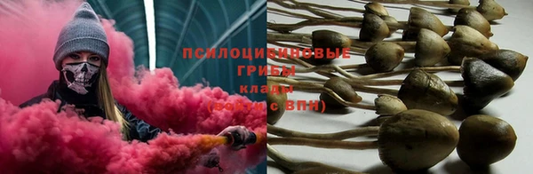 прущие грибы Бугульма