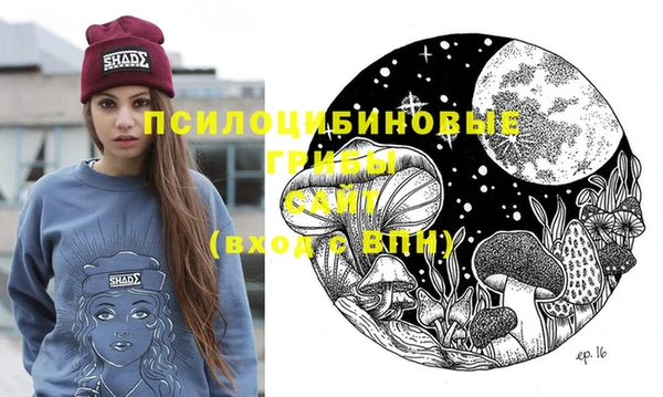 PSILOCYBIN Бронницы