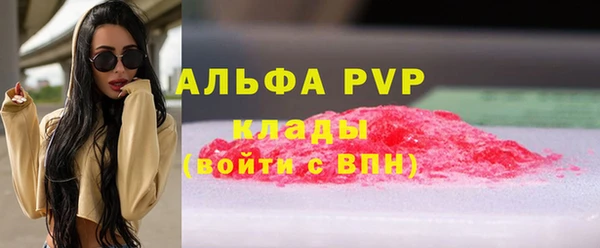 PSILOCYBIN Бронницы