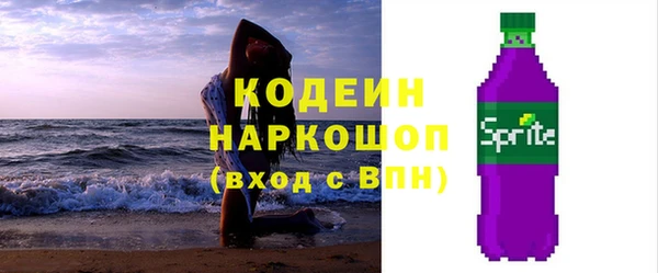 дмт Бородино