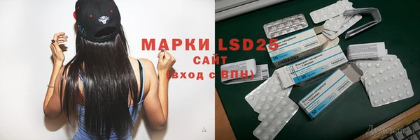 прущие грибы Бугульма