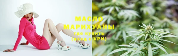 дмт Бородино