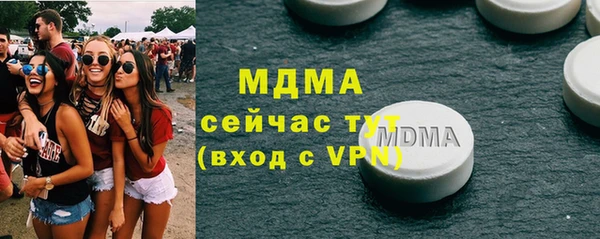 дмт Бородино