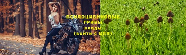 PSILOCYBIN Бронницы