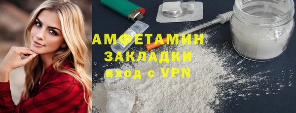 дмт Бородино