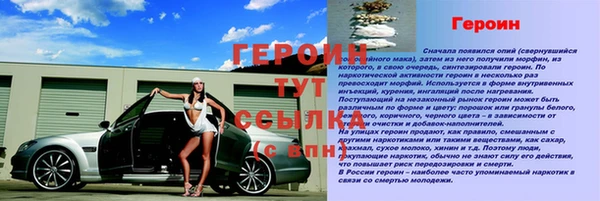 дмт Бородино