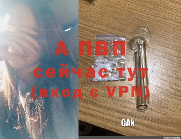 дмт Бородино