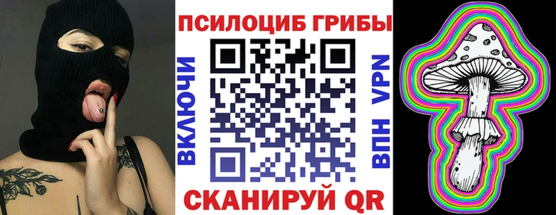 Псилоцибиновые грибы MAGIC MUSHROOMS  сколько стоит  darknet какой сайт  Кириши 